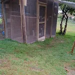 Séjour chez l'habitant Quinta Dos Campos - 1