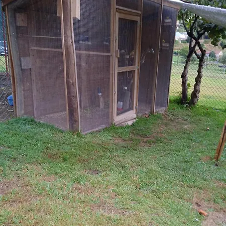Homestay Quinta Dos Campos - 1