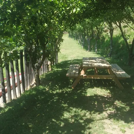 Quinta Dos Campos - 1 Homestay *