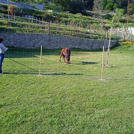 Quinta Dos Campos - 1 Homestay