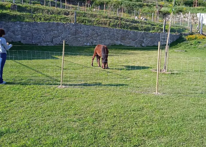Quinta Dos Campos - 1 Habitación en casa particular